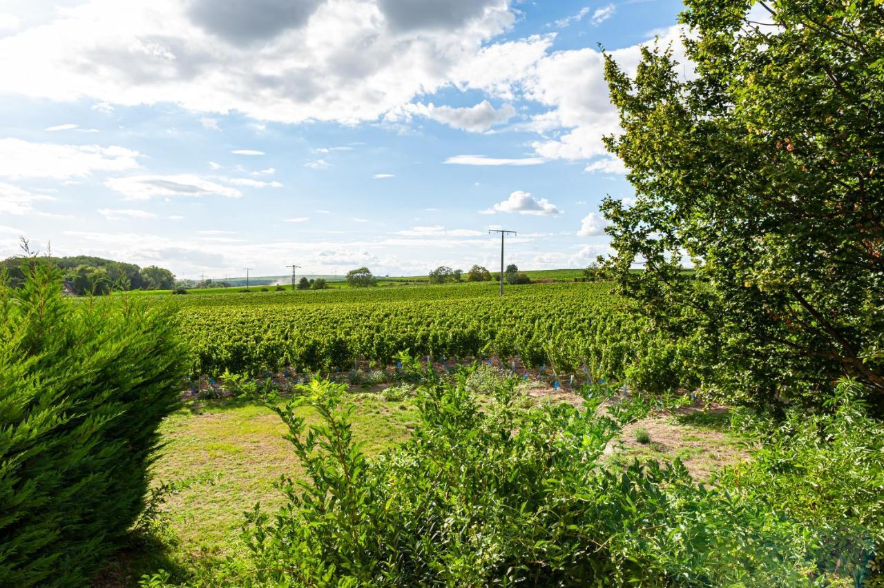 Landgut Schill Hotell Osthofen Exteriör bild